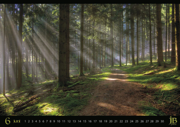 Beautiful World - Bergstraße - Odenwald - Neckartal – Bild 8